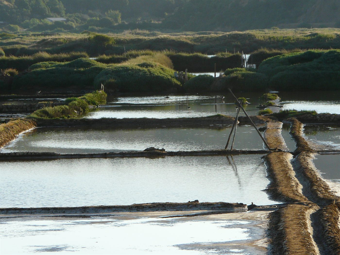 Paisaje de las Salinas de Cahuil, Pichilemu